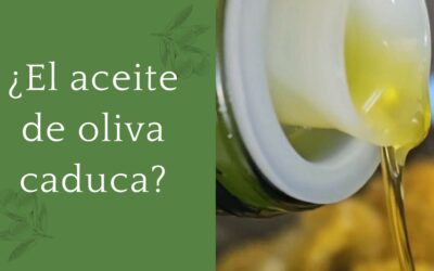 ¿El aceite de oliva caduca? Todo lo que debes saber para conservarlo y detectar su deterioro