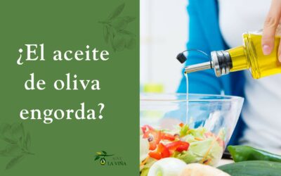 ¿El aceite de oliva engorda? La verdad detrás de las calorías