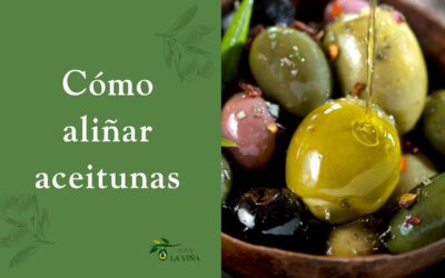 Cómo aliñar aceitunas en casa: Recetas fáciles y tradicionales