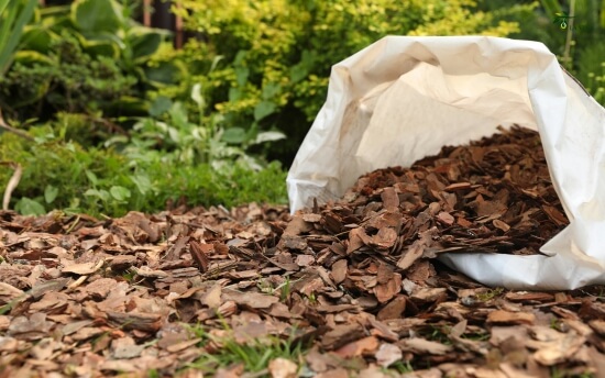 ¿Qué es el mulch y por qué es tan beneficioso para tus olivos? 3 Menos malas hierbas, más tranquilidad