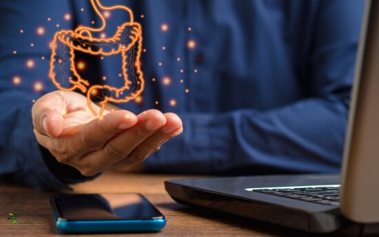 AOVE y salud digestiva: por qué cada vez más médicos lo recomiendan 2 La importancia del AOVE con la microbiota