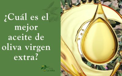 ¿Cuál es el mejor aceite de oliva virgen extra? Guía para no equivocarte