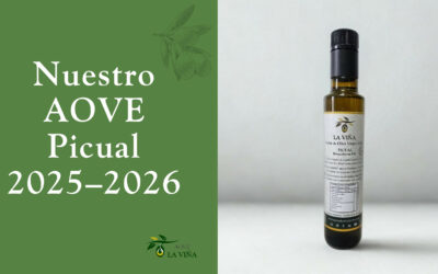 Nuestro AOVE Picual 2025–2026: cómo lo hacemos y cómo disfrutarlo en frío