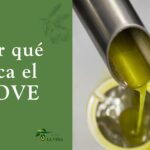 Por qué pica el aceite de oliva virgen extra