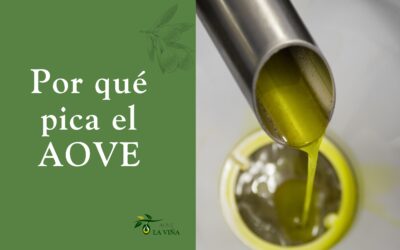 Por qué pica el aceite de oliva virgen extra y por qué es una buena señal