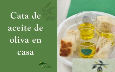Cata de aceite de oliva en casa: guía sencilla para aprender a valorar un AOVE