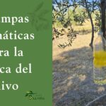 Trampas cromáticas para la mosca del olivo: cómo hacerlas de forma casera 4 trampas cromaticas para la mosca del olivo caseras